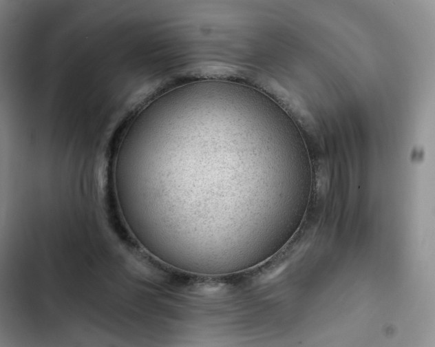 X0000102490206200808221738