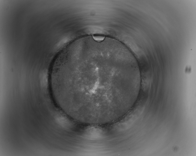 X0000102490207200808221738