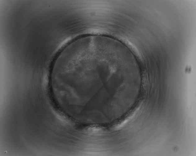 X0000102490208200808221738