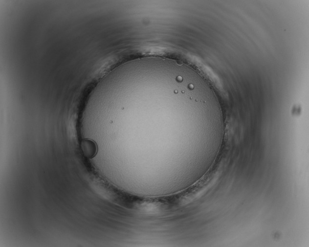 X0000102490209200808221738