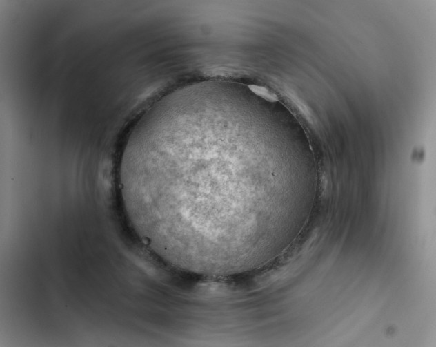 X0000102490211200808221738