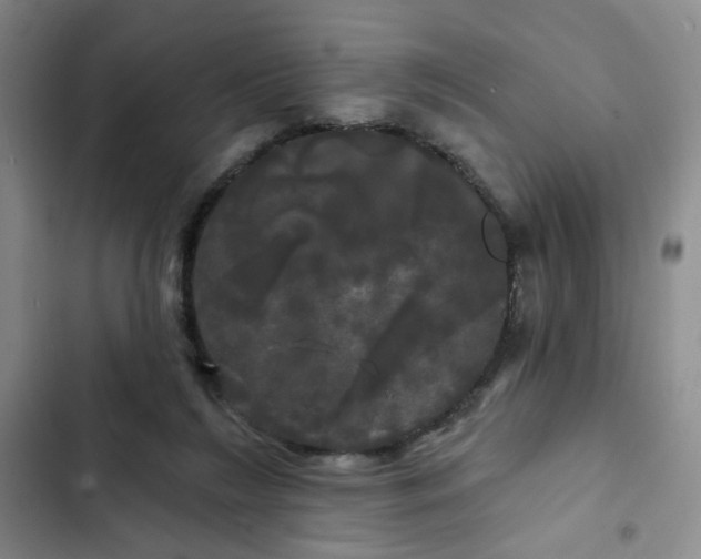 X0000102490212200808221738