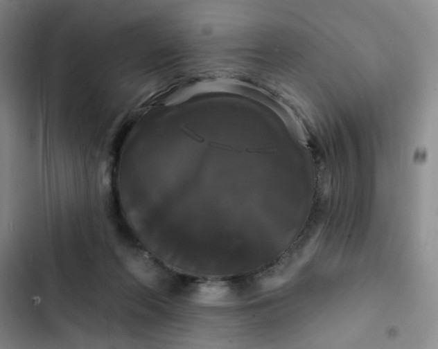 X0000102490214200808221738