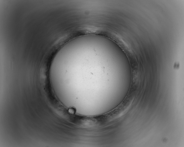 X0000102490215200808221738