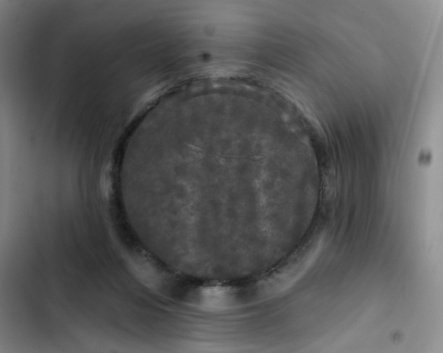 X0000102490216200808221738