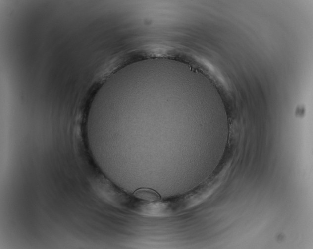 X0000102490217200808221738