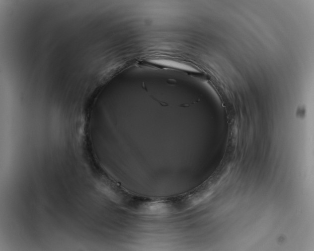 X0000102490219200808221738