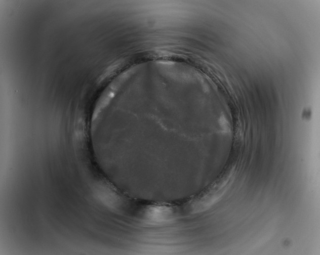 X0000102490220200808221738