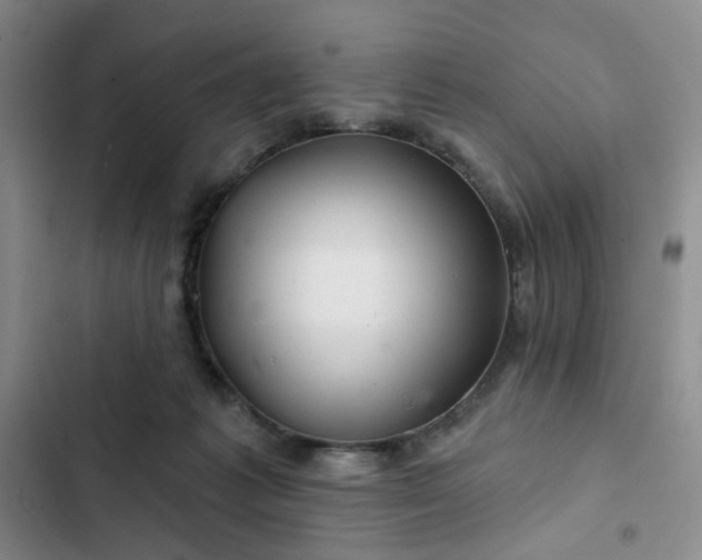 X0000102490221200808221738