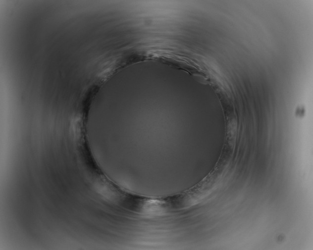 X0000102490222200808221738