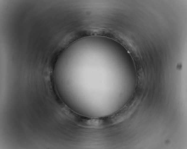 X0000102490225200808221738