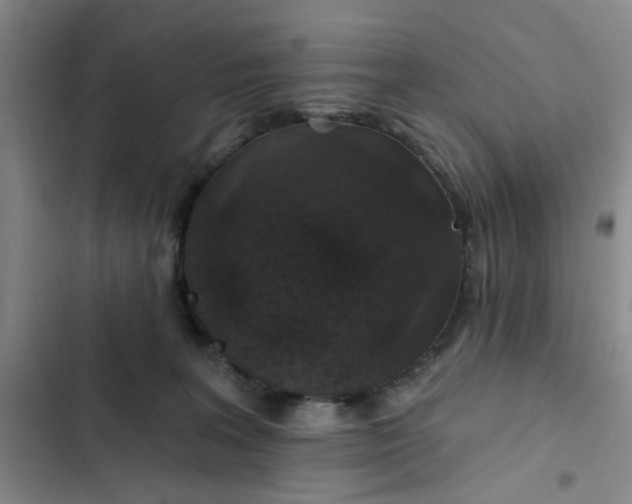 X0000102490227200808221738