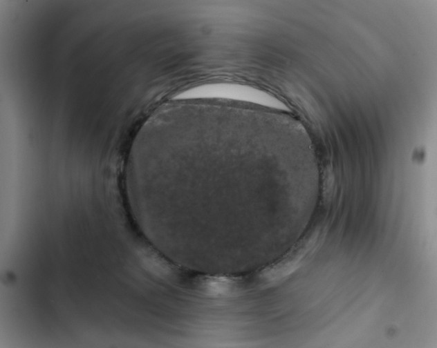 X0000102490229200808221738