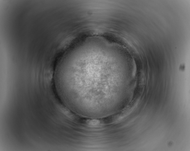 X0000102490230200808221738