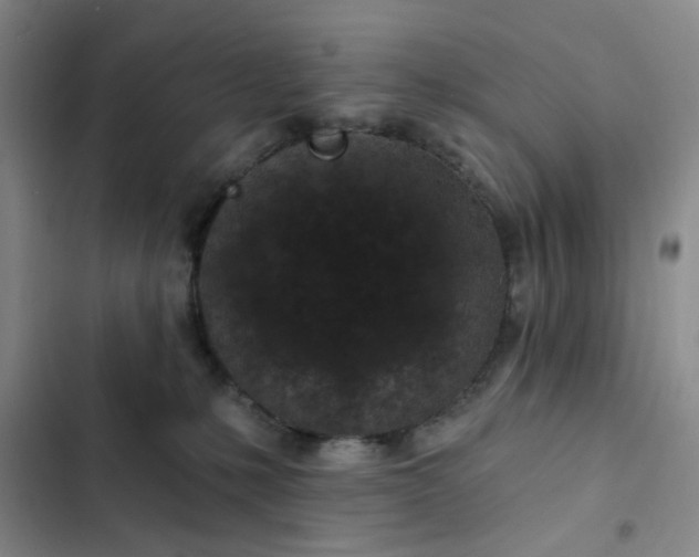 X0000102490231200808221738