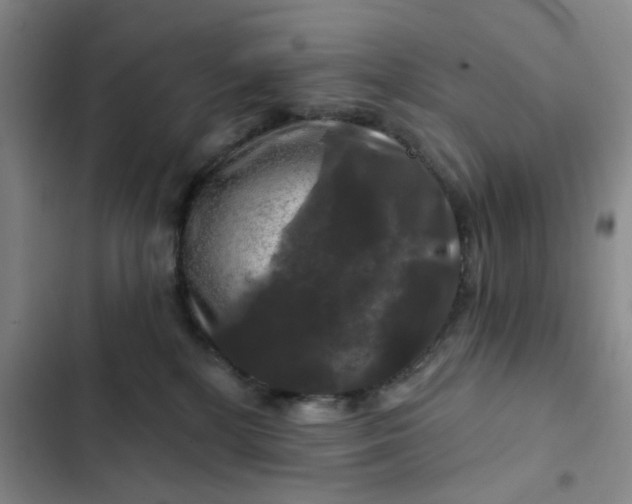 X0000102490232200808221738