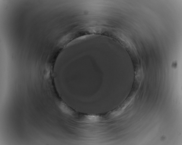 X0000102490233200808221738