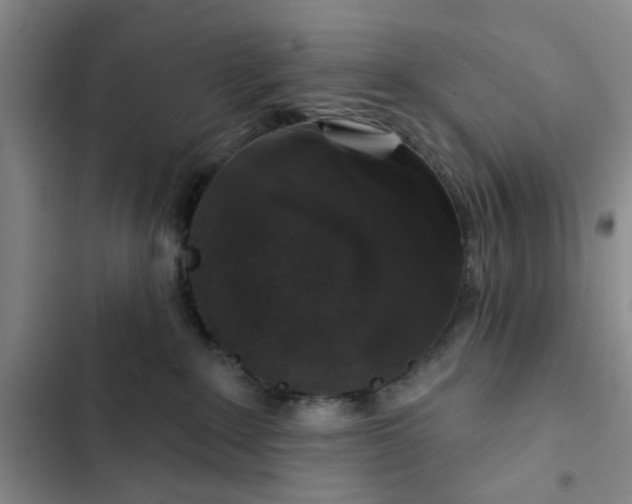 X0000102490235200808221738