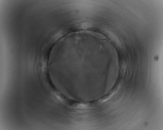 X0000102490236200808221738