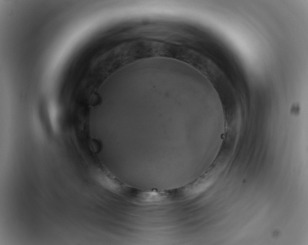 X0000102490239200808221738