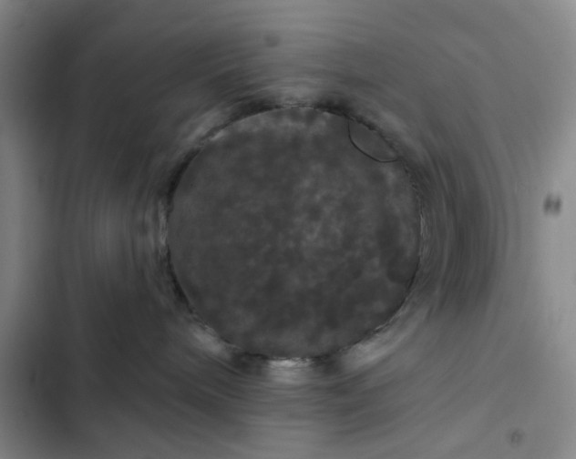 X0000102490240200808221738