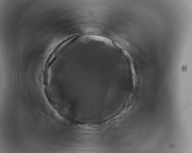 X0000102490241200808221737