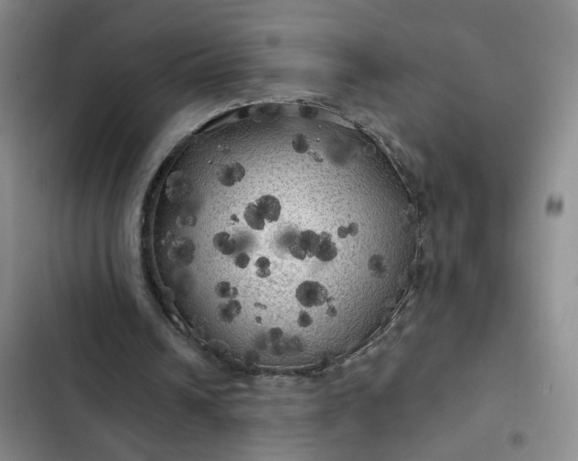 X0000102490242200808221737