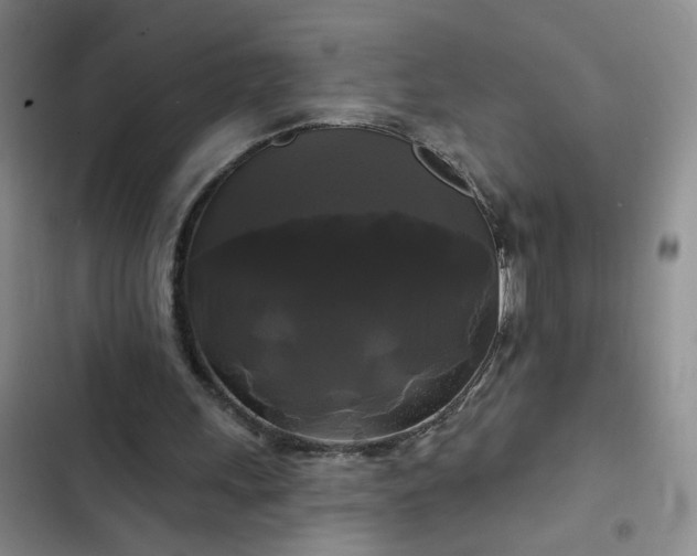 X0000102490243200808221737