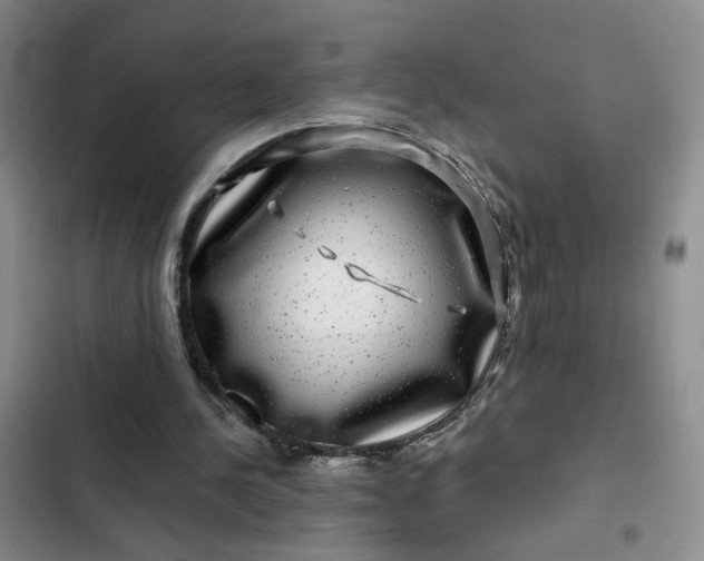 X0000102490244200808221737