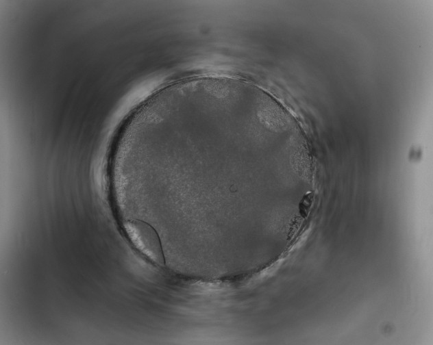 X0000102490245200808221737