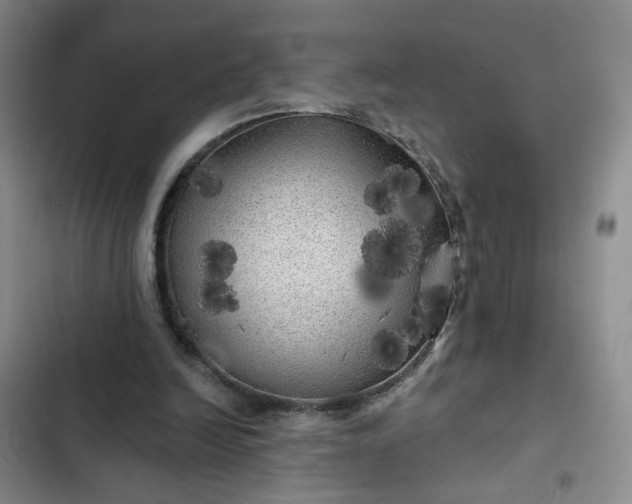 X0000102490246200808221737