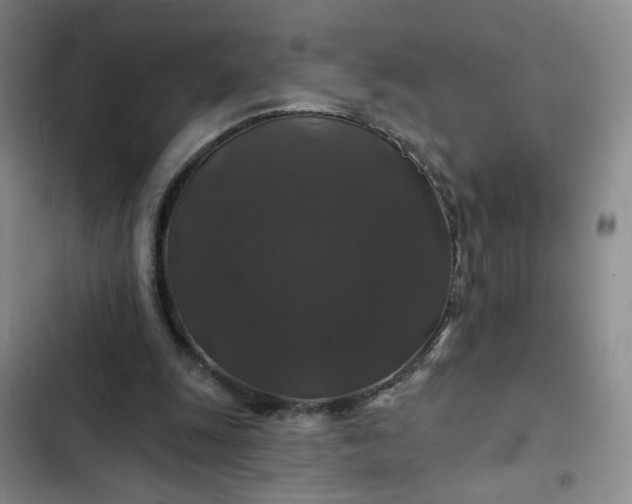 X0000102490247200808221737