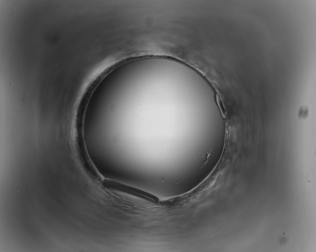 X0000102490248200808221737