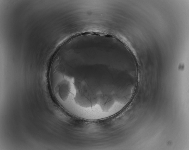 X0000102490249200808221737