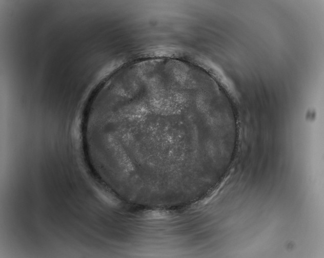 X0000102490250200808221737