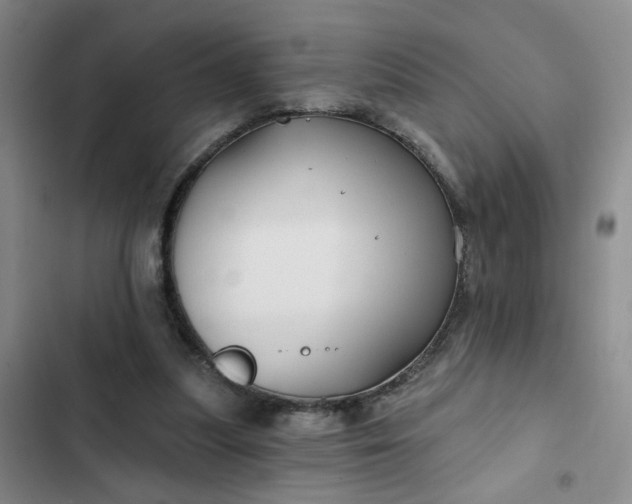 X0000102490251200808221737