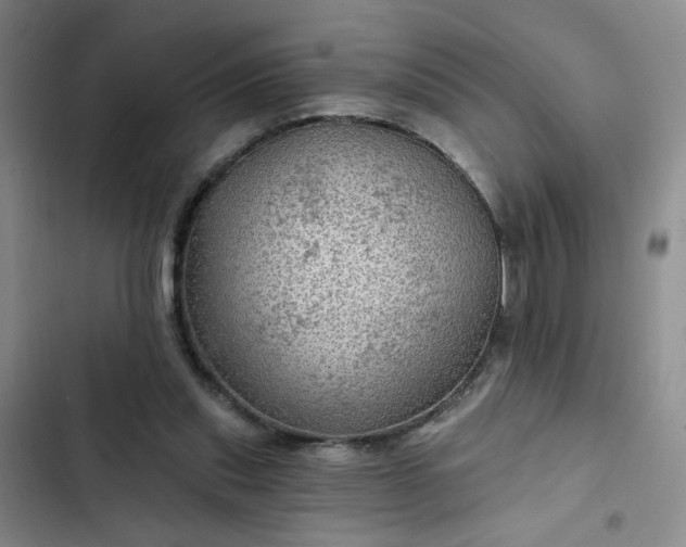 X0000102490253200808221737