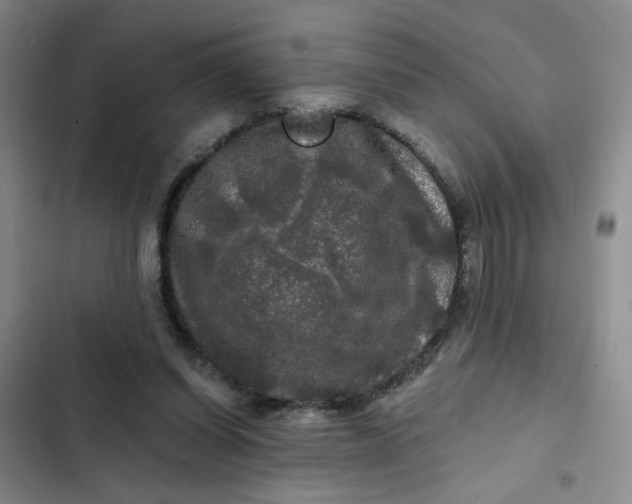 X0000102490254200808221737