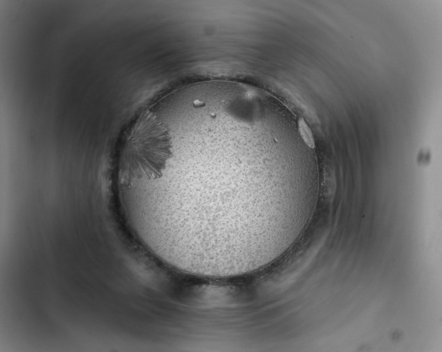 X0000102490255200808221737