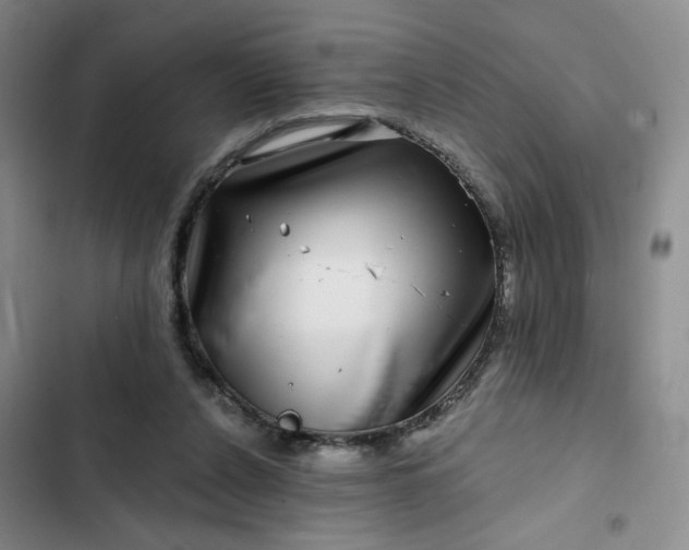 X0000102490256200808221737