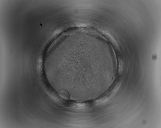 X0000102490260200808221737