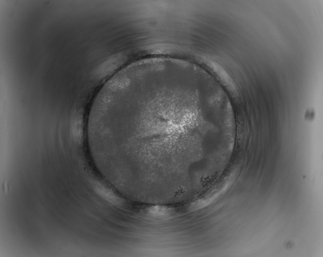 X0000102490261200808221737