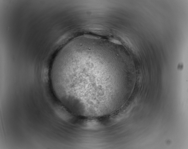 X0000102490262200808221737