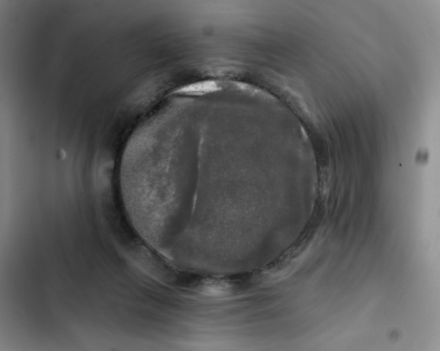 X0000102490263200808221737