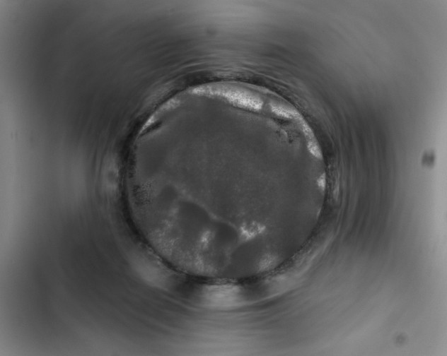 X0000102490266200808221737