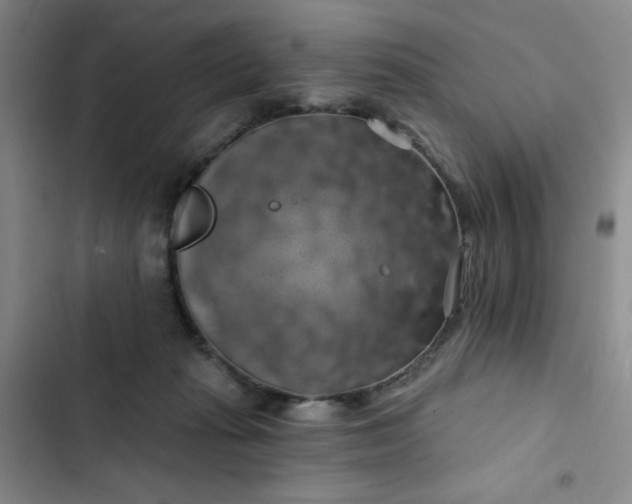 X0000102490269200808221737