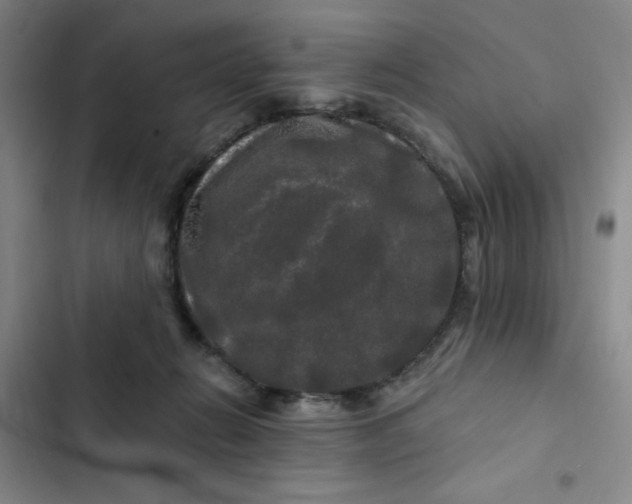 X0000102490270200808221737