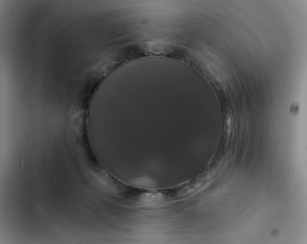 X0000102490271200808221737