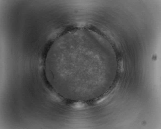 X0000102490272200808221737