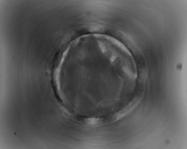 X0000102490273200808221737